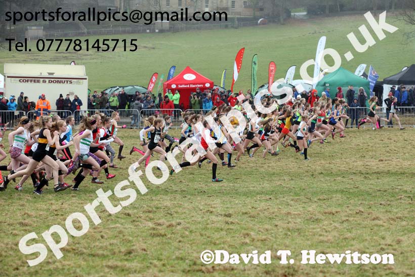 Girls under-15s, 2018 Northern Cross Country Champs., Harewood House, Leeds. Photo: David T. Hewitson/Sports for All Pics